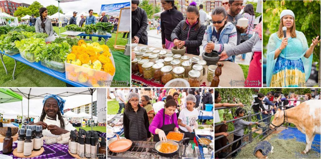 VegFest collage: produce stands, food vendors and visitors